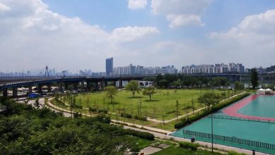 Gwangnaru Hangang Park
